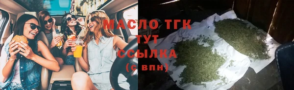 сатива Новозыбков