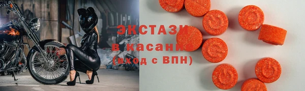 сатива Новозыбков