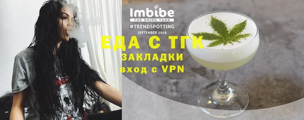 сатива Новозыбков