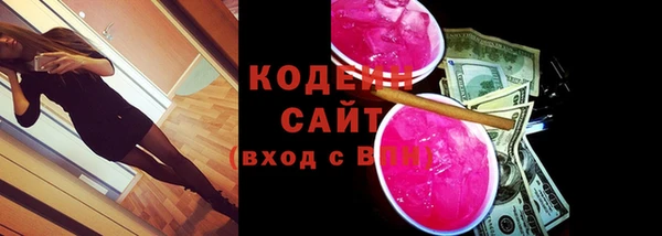 сатива Новозыбков