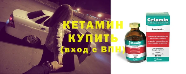 сатива Новозыбков