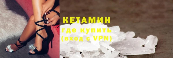 сатива Новозыбков