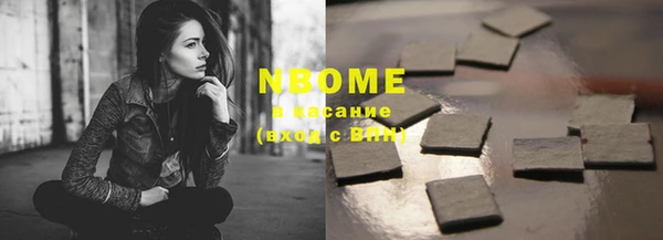 сатива Новозыбков