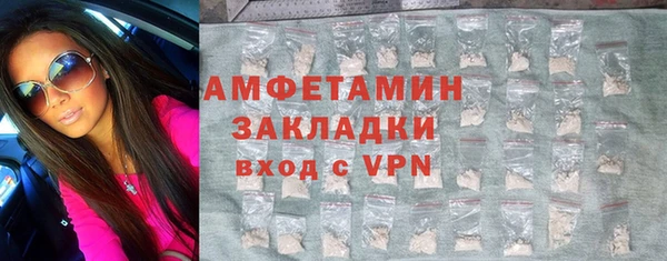 сатива Новозыбков