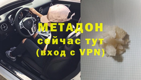 сатива Новозыбков