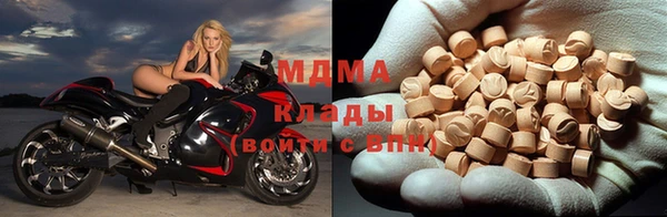 сатива Новозыбков