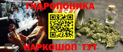 2c-b Заводоуковск