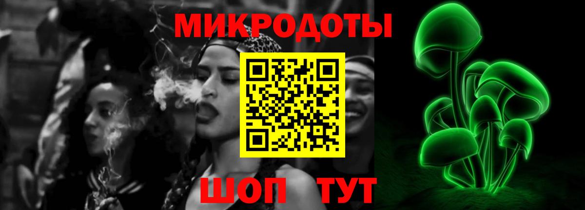Псилоцибиновые грибы мицелий Кирово-Чепецк