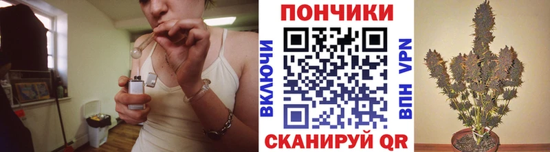 Бошки Шишки Amnesia  где купить   дарк нет состав  Кирово-Чепецк 